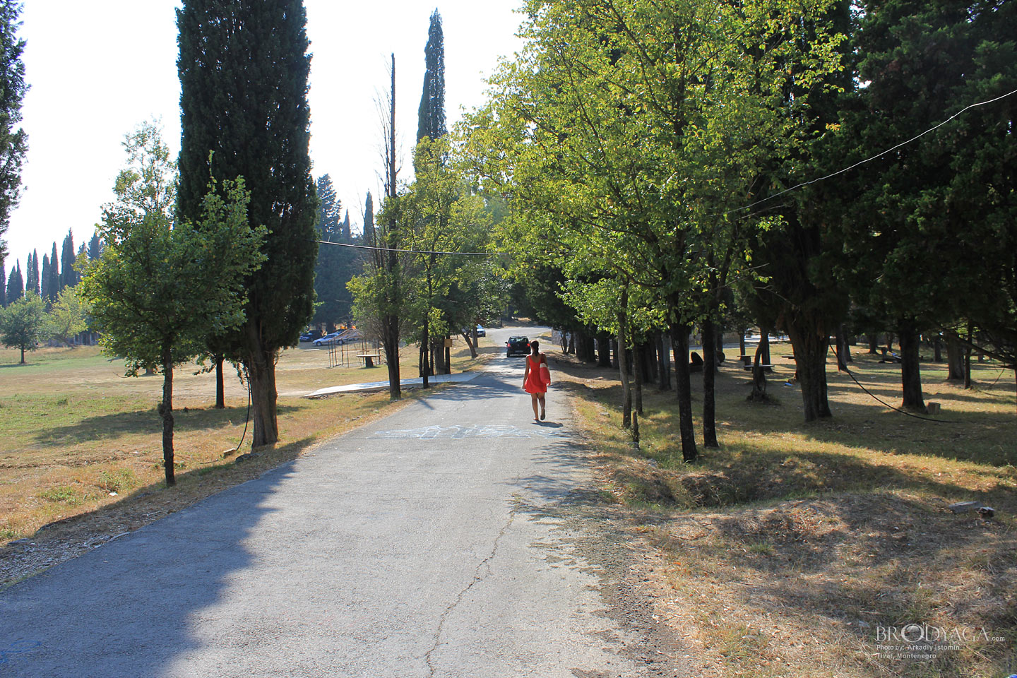 Tivat